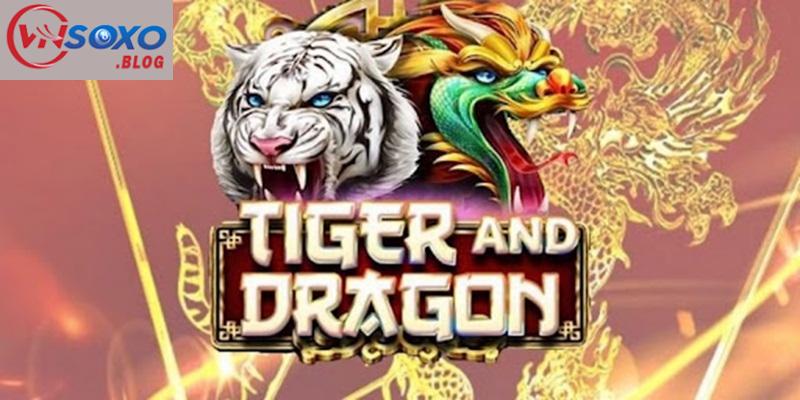 Điều cần lưu tâm khi chơi rồng hổ cho tân thủ